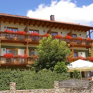 Gasthof Zur Alten Schmiede Zwiesel